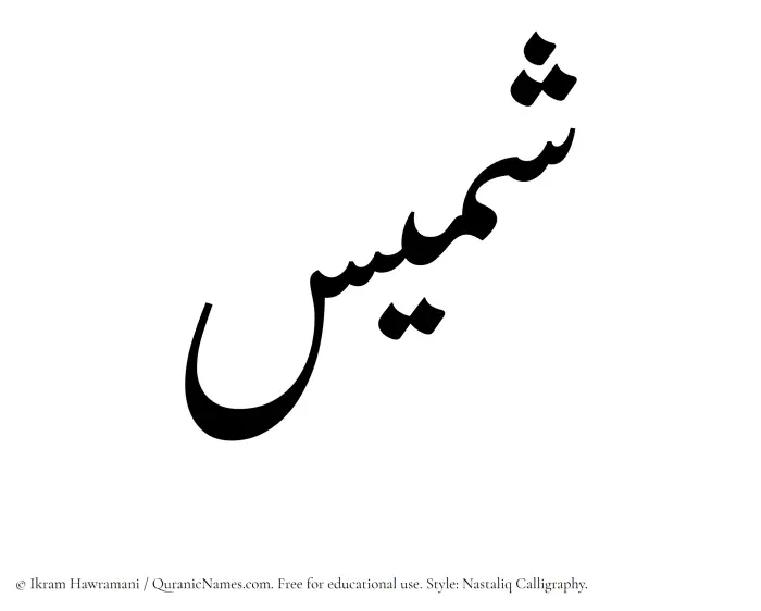 The Muslim name word Shamees written in Nastaliq calligraphic script