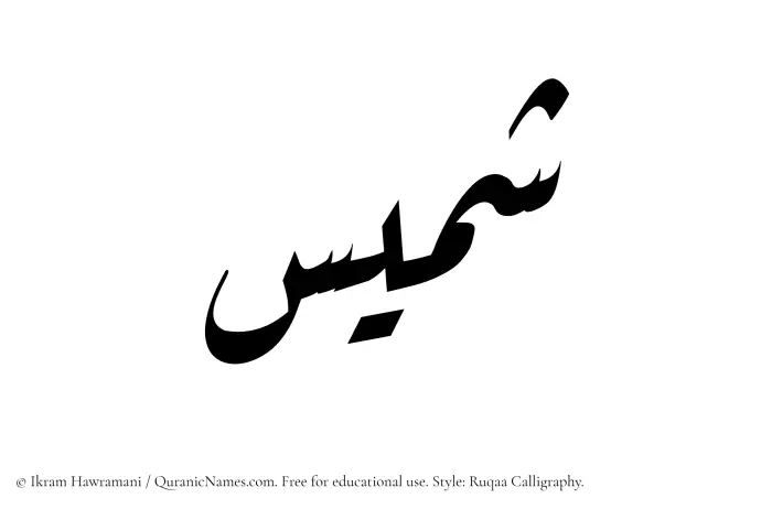 The Muslim name Shamees written in Ruqaa calligraphic script