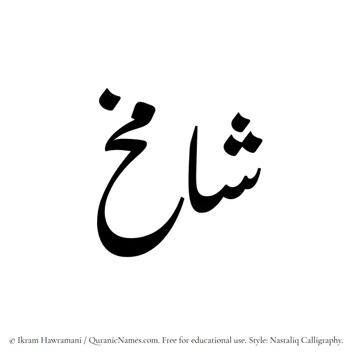 The Muslim name word Shamikh written in Nastaliq calligraphic script