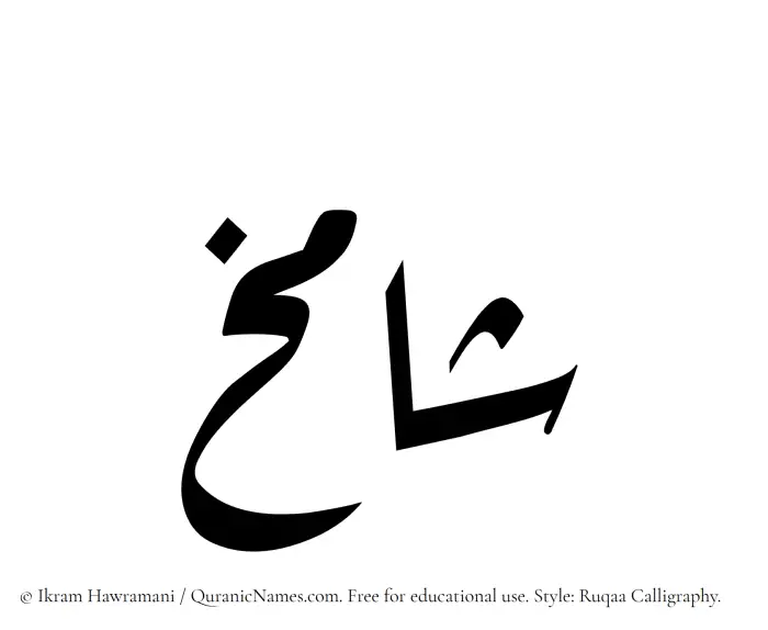 The Muslim name Shamikh written in Ruqaa calligraphic script
