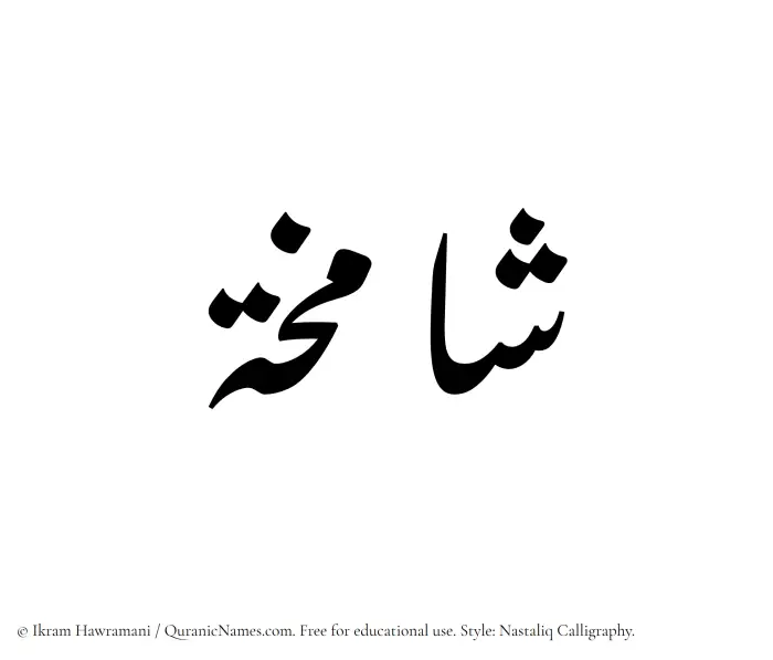 The Muslim name word Shamikha written in Nastaliq calligraphic script