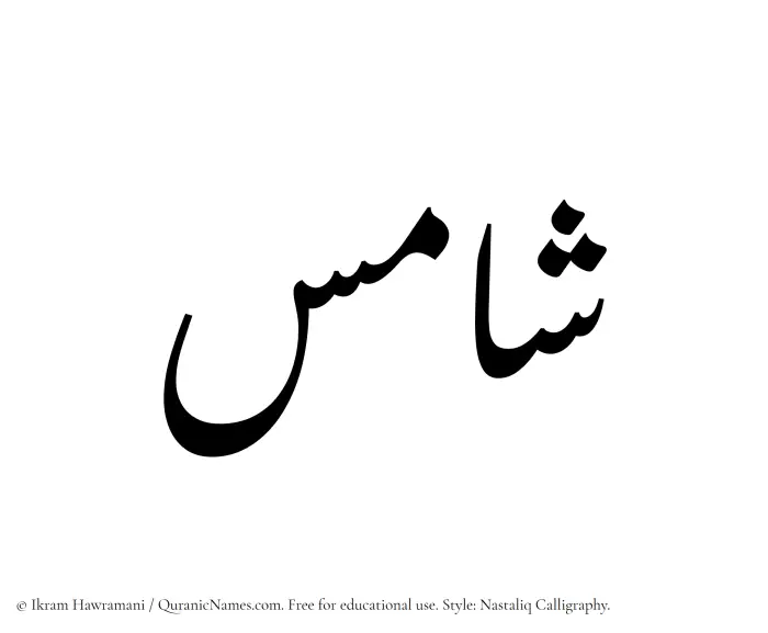 The Muslim name word Shamis written in Nastaliq calligraphic script