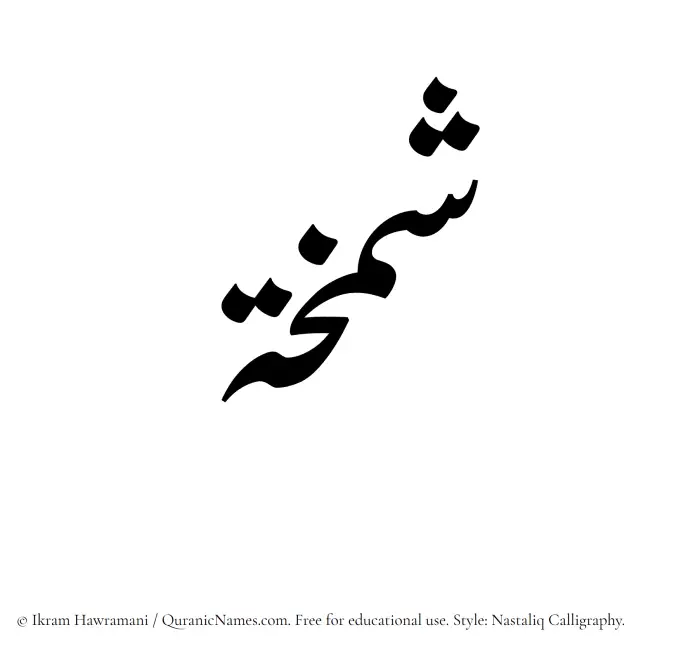 The Muslim name word Shamkhah written in Nastaliq calligraphic script