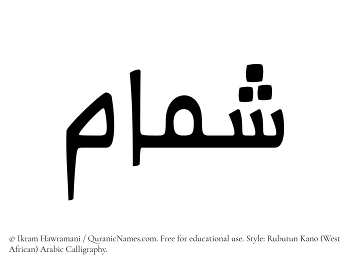 The Muslim name Shammam written in Rubutun Kano calligraphic script