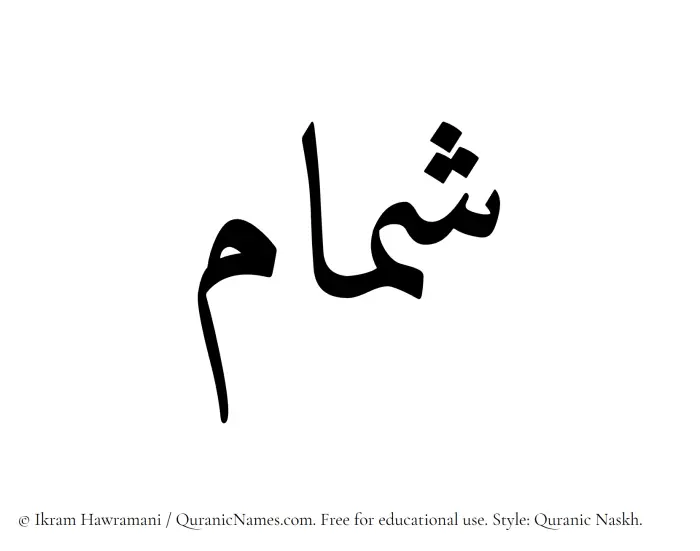 The Muslim name Shammam written in Quranic naskh script