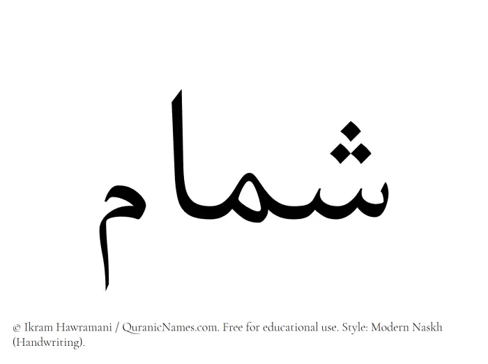 The Muslim name Shammam written in naskh script
