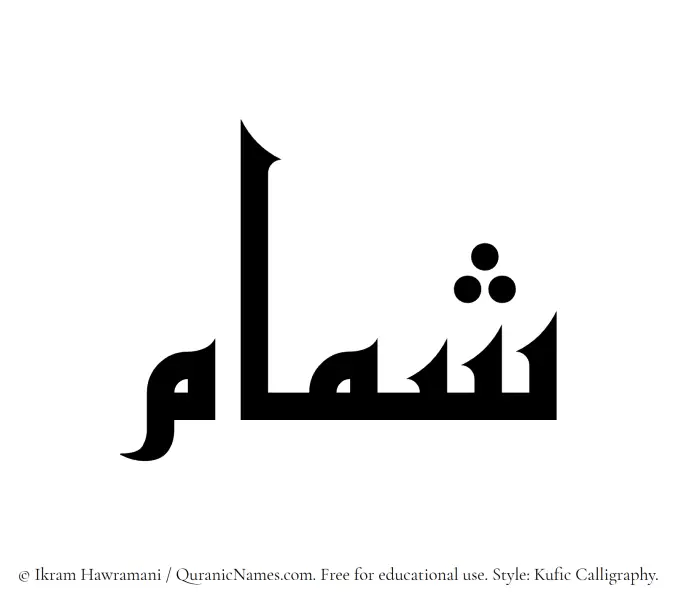 The Muslim name Shammam written in Kufi/Kufic calligraphic script