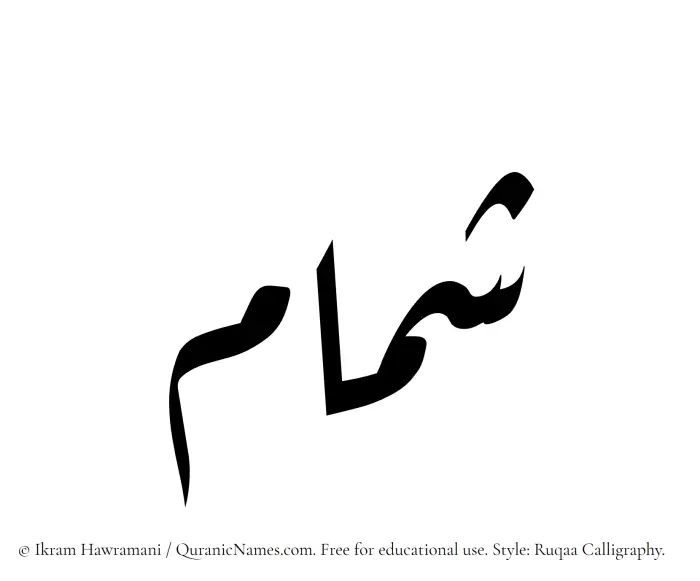 The Muslim name Shammam written in Ruqaa calligraphic script