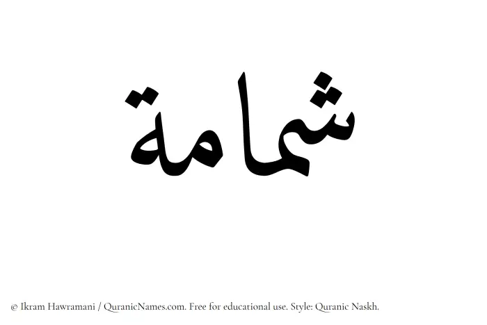 The Muslim name Shammamah written in Quranic naskh script