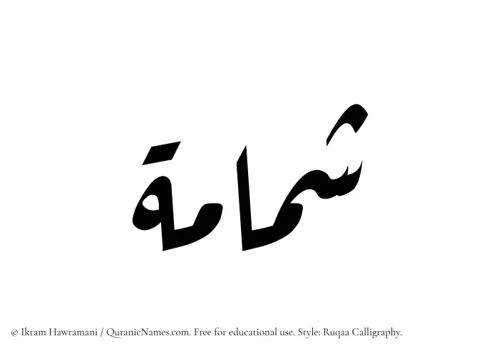 The Muslim name Shammamah written in Ruqaa calligraphic script