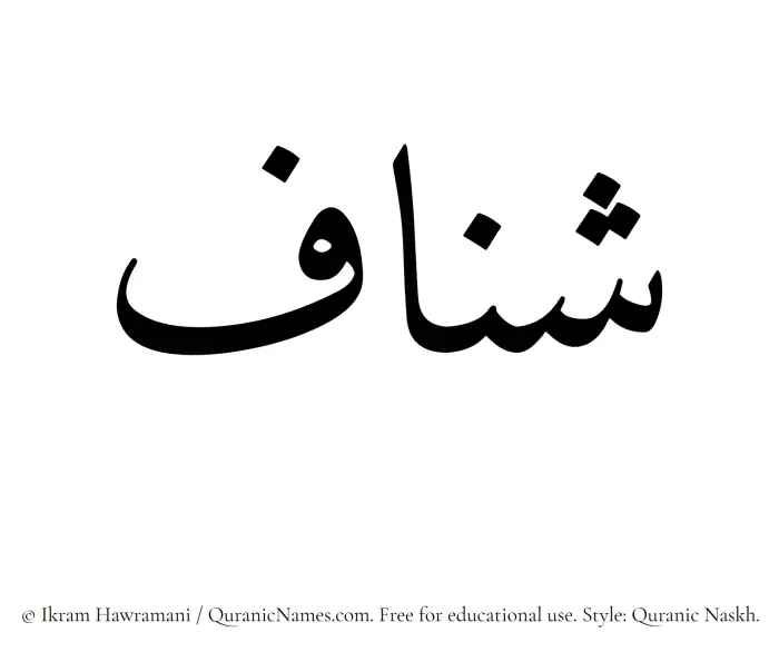 The Muslim name Shannaf written in Quranic naskh script