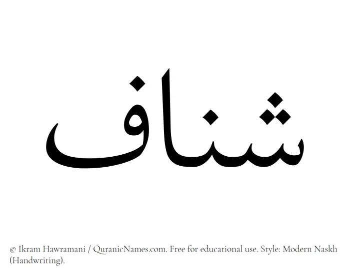 The Muslim name Shannaf written in naskh script