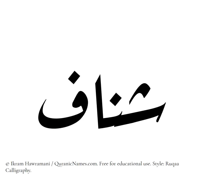 The Muslim name Shannaf written in Ruqaa calligraphic script