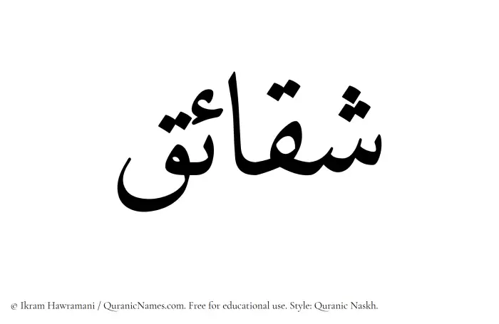 The Muslim name Shaqaaiq written in Quranic naskh script