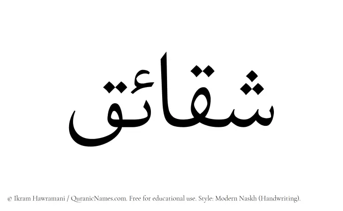 The Muslim name Shaqaaiq written in naskh script