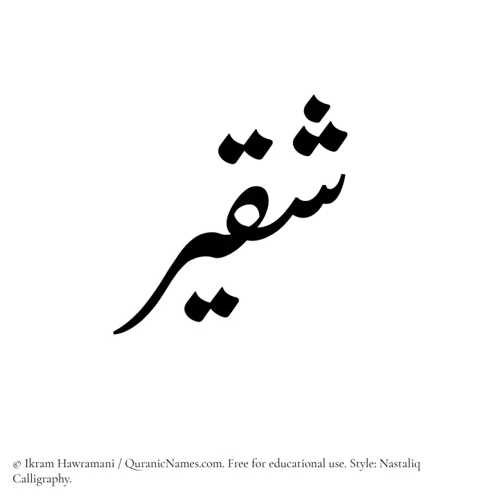 The Muslim name word Shaqeer written in Nastaliq calligraphic script