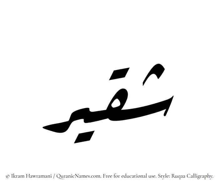 The Muslim name Shaqeer written in Ruqaa calligraphic script