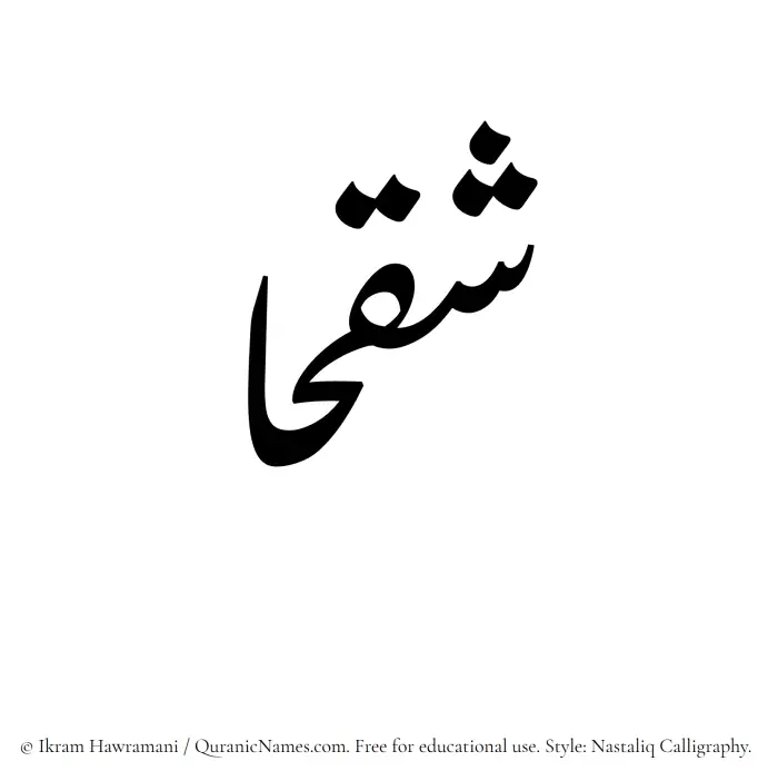 The Muslim name word Shaqhaa written in Nastaliq calligraphic script
