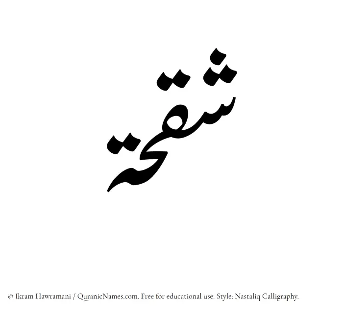 The Muslim name word Shaqhah written in Nastaliq calligraphic script