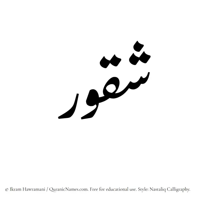 The Muslim name word Shaqoor written in Nastaliq calligraphic script