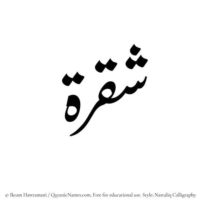 The Muslim name word Shaqrah written in Nastaliq calligraphic script