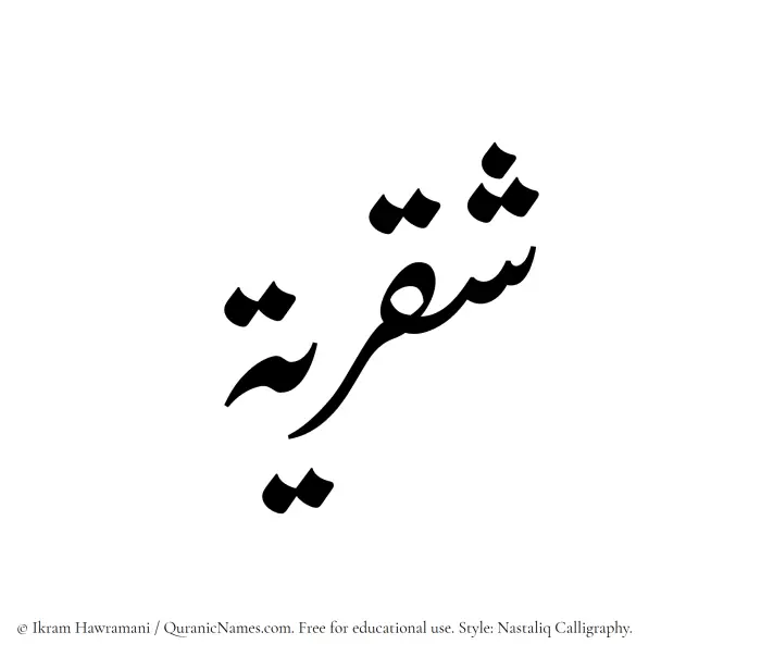 The Muslim name word Shaqriyyah written in Nastaliq calligraphic script