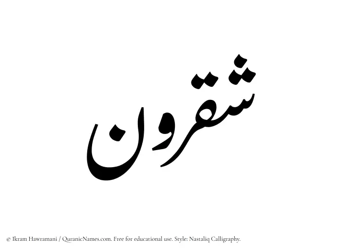 The Muslim name word Shaqroon written in Nastaliq calligraphic script