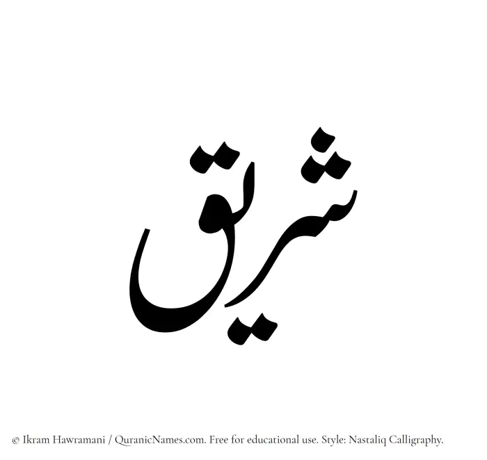 The Muslim name word Shareeq written in Nastaliq calligraphic script