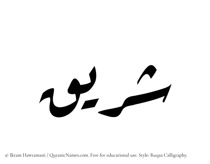 The Muslim name Shareeq written in Ruqaa calligraphic script