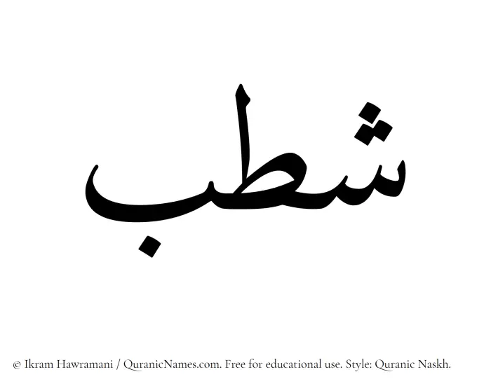 The Muslim name Shatb written in Quranic naskh script