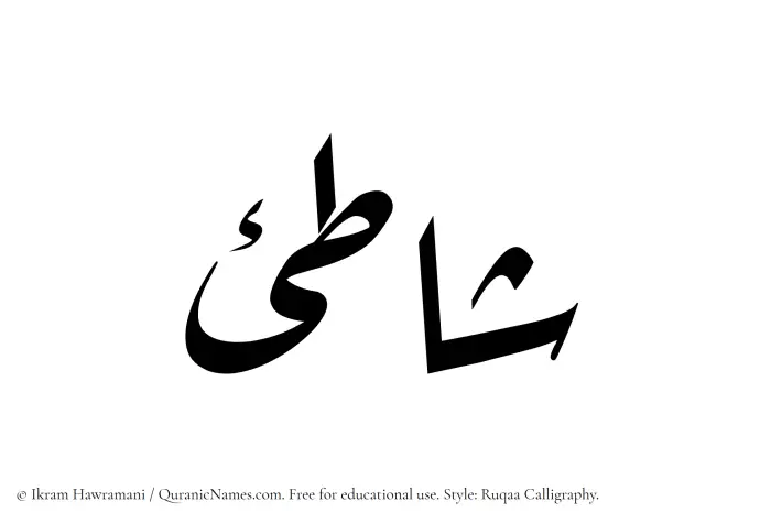 The Muslim name Shati written in Ruqaa calligraphic script