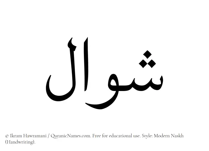 The Muslim name Shawal written in naskh script