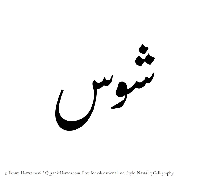 The Muslim name word Shawas written in Nastaliq calligraphic script