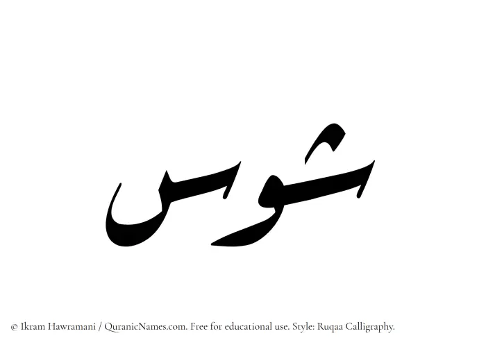 The Muslim name Shawas written in Ruqaa calligraphic script