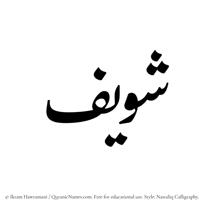 The Muslim name word Shaweef written in Nastaliq calligraphic script