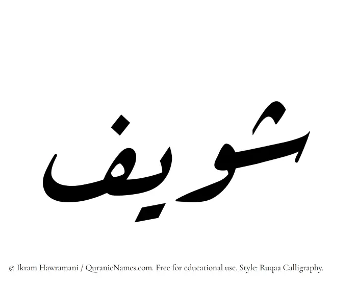 The Muslim name Shaweef written in Ruqaa calligraphic script