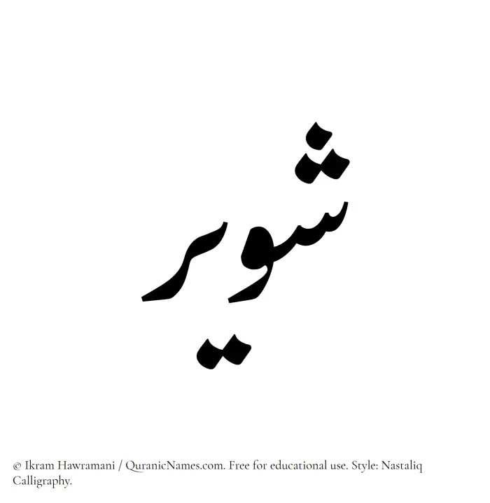 The Muslim name word Shaweer written in Nastaliq calligraphic script