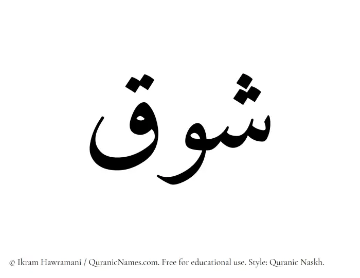 The Muslim name Shawq written in Quranic naskh script