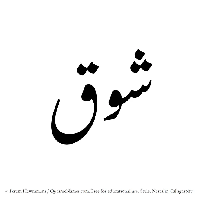 The Muslim name word Shawq written in Nastaliq calligraphic script