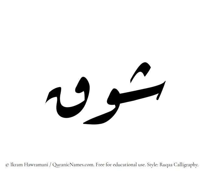 The Muslim name Shawq written in Ruqaa calligraphic script