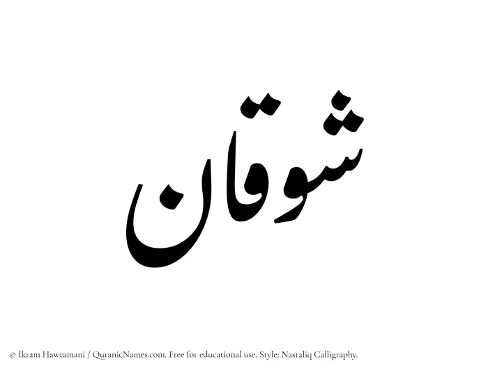 The Muslim name word Shawqan written in Nastaliq calligraphic script