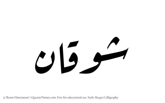 The Muslim name Shawqan written in Ruqaa calligraphic script