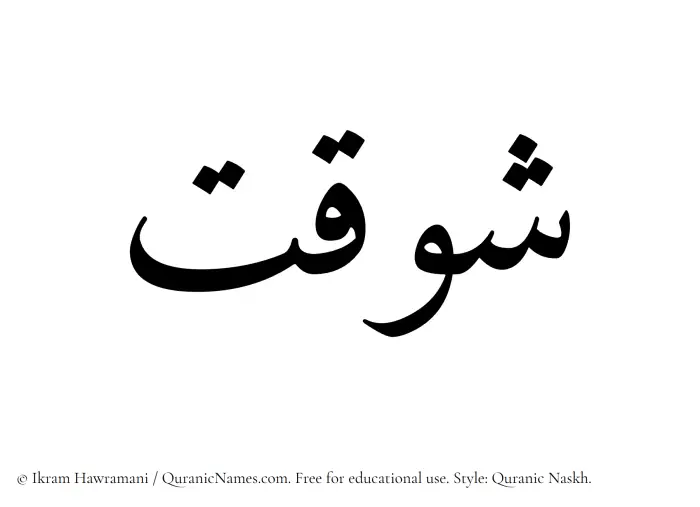 The Muslim name Shawqat written in Quranic naskh script