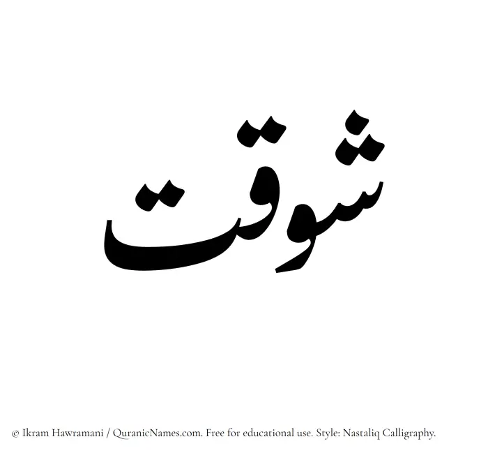 The Muslim name word Shawqat written in Nastaliq calligraphic script