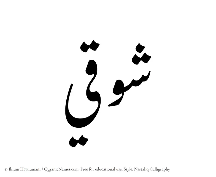 The Muslim name word Shawqi written in Nastaliq calligraphic script