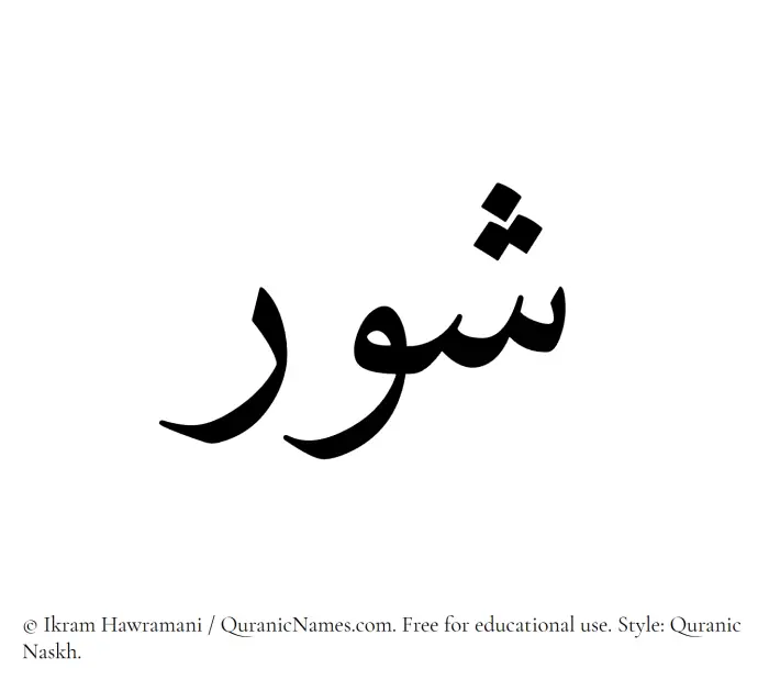 The Muslim name Shawr written in Quranic naskh script