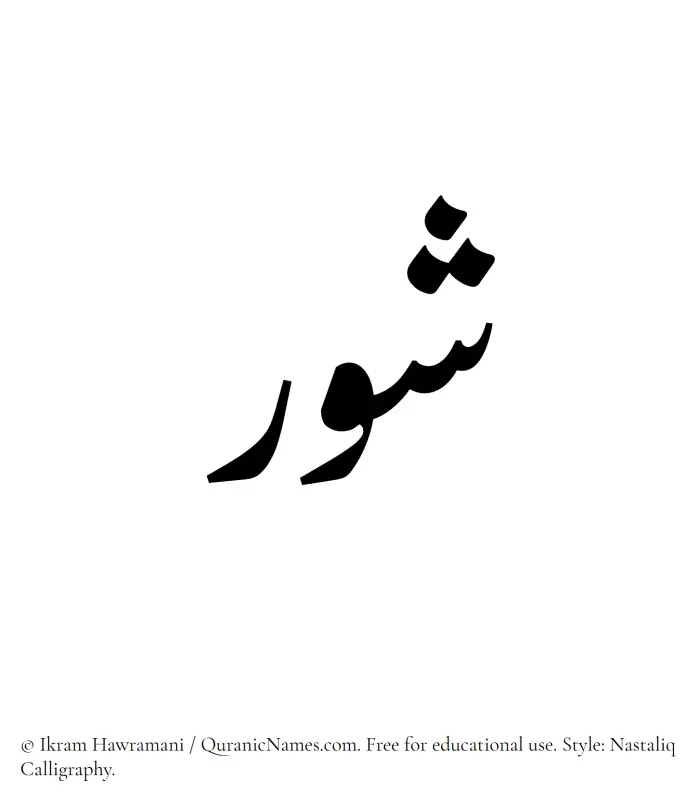The Muslim name word Shawr written in Nastaliq calligraphic script