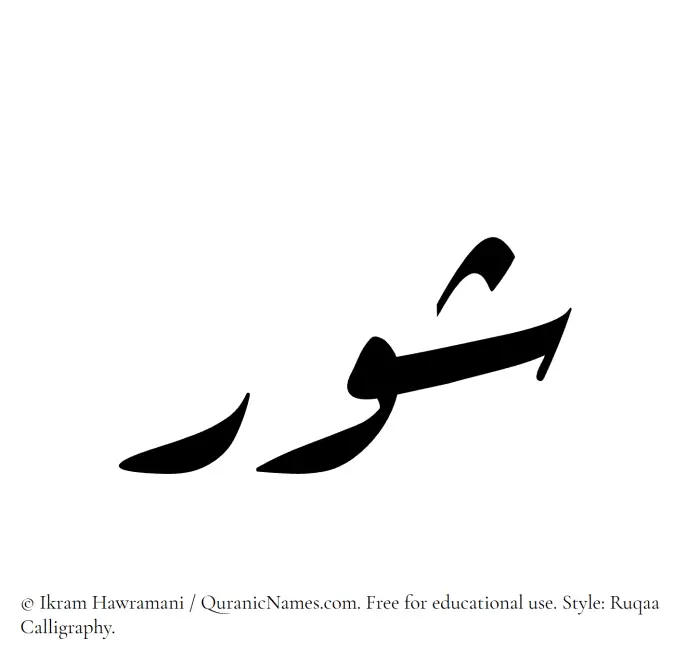 The Muslim name Shawr written in Ruqaa calligraphic script
