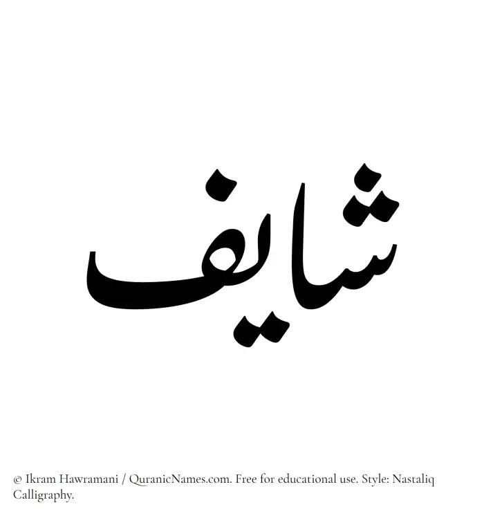 The Muslim name word Shayif written in Nastaliq calligraphic script