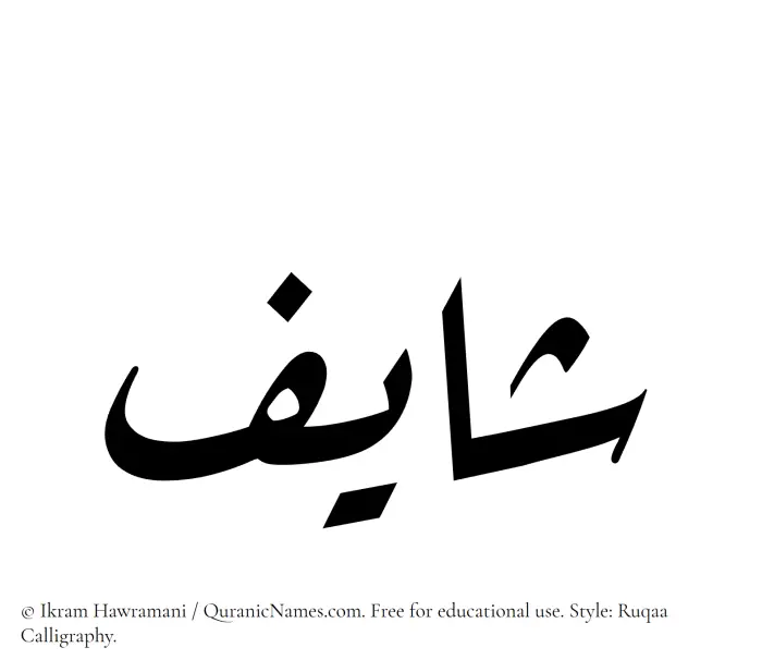 The Muslim name Shayif written in Ruqaa calligraphic script